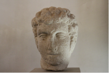 Testa